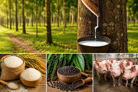 Thị trường hàng hoá ngày 17/6: Cao su tiếp đà tăng, gạo xuất khẩu khởi sắc trở lại