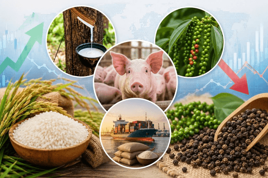 Thị trường hàng hoá 19/6: Giá gạo xuất khẩu tăng,  hồ tiêu duy trì ổn định