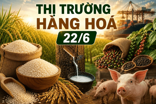 Thị trường hàng hoá ngày 22/6: Hồ tiêu mất mốc 140.000 đồng/kg, gạo và heo hơi giữ giá