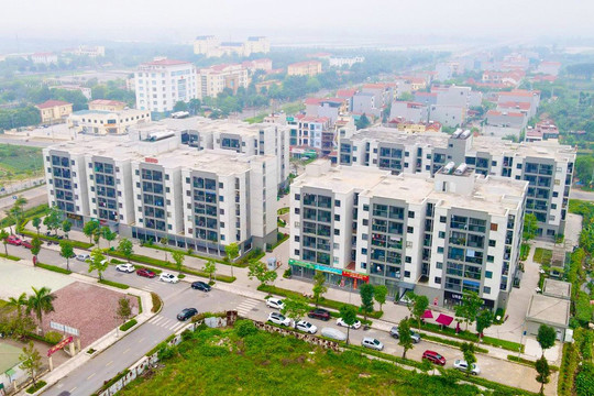 Chính phủ yêu cầu các địa phương bố trí quỹ đất làm nhà ở cho thuê