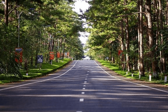Thông tin về 2 sân bay tại tỉnh sở hữu “Đà Lạt thứ 2”: 1 trên núi và 1 trên biển