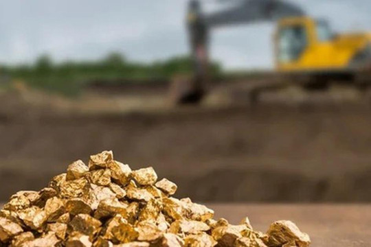 Tin nóng từ công ty đào vàng vừa lãi kỷ lục hai năm liên tiếp