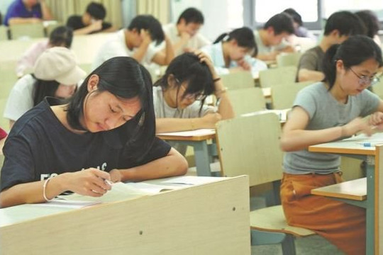 Ngành ngoại ngữ đang bị 70 trường đại học khai tử hàng loạt, AI khiến dịch thuật không còn là kỹ năng sống còn