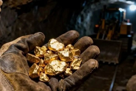 Đại gia đào vàng lớn nhất Việt Nam sắp trả cổ tức tỷ lệ 90,5%