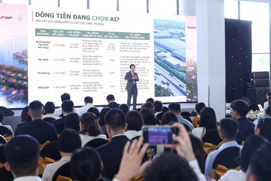 CEO FIDT: Bất động sản bắt đầu hướng về các cực tăng trưởng, đô thị vệ tinh, không còn chạy theo vùng ven đầu cơ