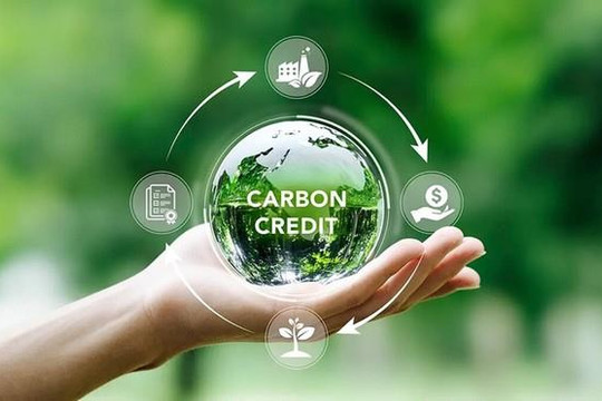 Chuẩn bị vận hành chính thức sàn giao dịch các-bon trong nước