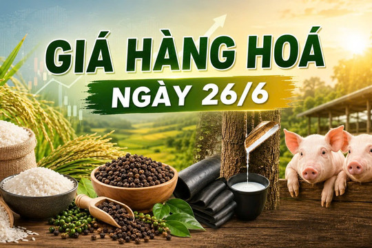 Thị trường hàng hoá ngày 26/6: Cao su thế giới giảm mạnh, heo hơi miền Bắc hạ nhiệt