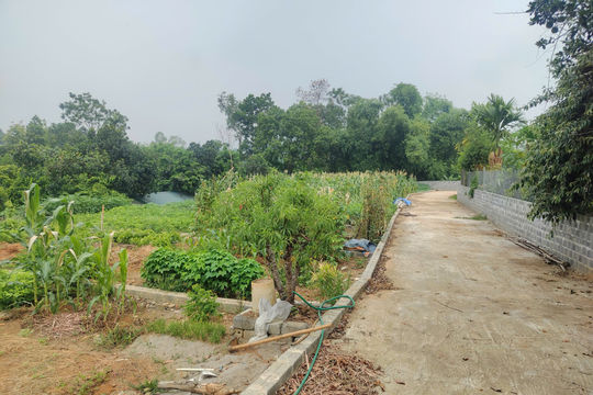 Đầu cơ gặp khó, dòng tiền tìm đến bất động sản mang “giá trị thật”