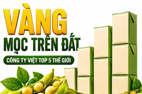 Được GS.TS Trần Đình Long ví như “vàng mọc trên đất”, loài cây này giúp một doanh nghiệp Việt vào Top 5 thế giới, doanh thu hơn 4.100 tỷ đồng/năm