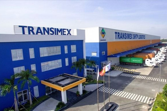 Transimex (TMS) bị phạt hơn nửa tỷ đồng do loạt vi phạm nghiêm trọng về công bố thông tin và giao dịch nội bộ