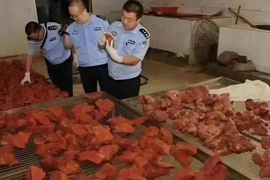 Theo dõi suốt 2 tháng, phanh phui đường dây sản xuất thịt giả doanh thu 19 tỷ đồng, thu giữ 2,2 tấn thịt chất thành "núi"