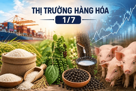 Thị trường hàng hoá 1/7: Gạo ổn định, giá heo hơi tiếp tục giảm