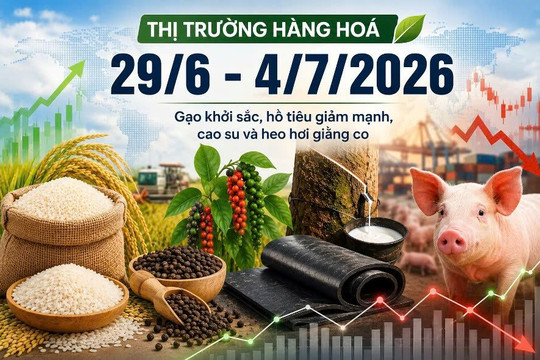 Thị trường hàng hóa tuần qua (29/6 - 4/7): Gạo khởi sắc, hồ tiêu giảm mạnh, cao su và heo hơi giằng co