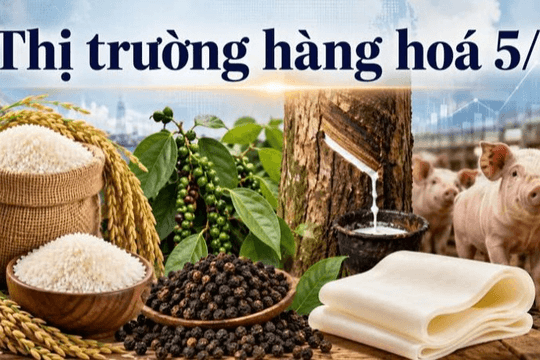 Thị trường hàng hóa ngày 5/7: Gạo, hồ tiêu đi ngang, heo hơi phân hóa