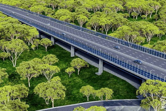 Việt Nam đang xây dựng tuyến đường xuyên rừng nguyên sinh dài 13km, kết nối cầu Mã Đà với Vành đai 4 TP.HCM, lần đầu tiên áp dụng một công nghệ đặc biệt