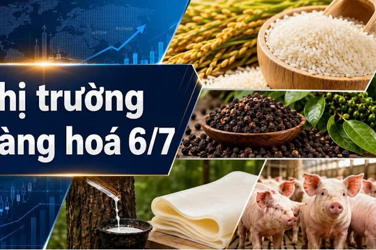 Thị trường hàng hóa 6/7: Hồ tiêu ở vùng giá thấp, gạo và heo hơi ổn định