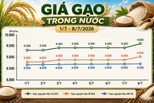 Thị trường hàng hóa ngày 8/7: Giá cao su thế giới tăng mạnh, gạo nguyên liệu neo cao