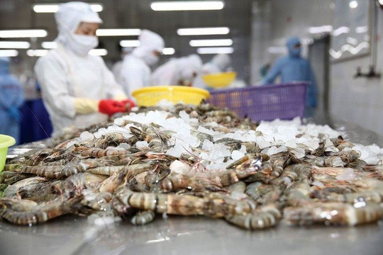Công ty thủy sản đầu tiên mở màn kết quả quý II: Doanh số 6 tháng giảm gần 21%