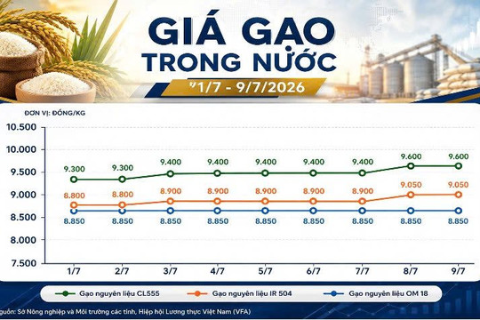 Thị trường hàng hóa ngày 9/7: Hồ tiêu phục hồi, cao su giữ đà tăng