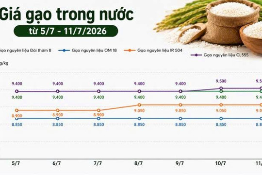 Thị trường hàng hóa 11/7: Hồ tiêu neo cao, cao su phân hóa