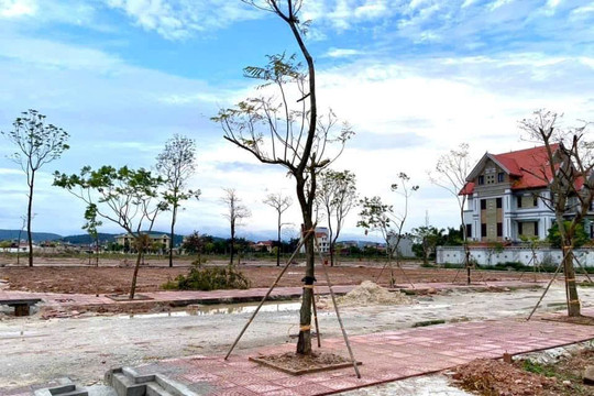 Thị trường đất đấu giá phân hóa: Nơi giảm sâu 30%, nơi ngược dòng giữ sóng