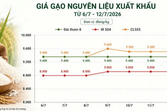 Thị trường hàng hóa 7 ngày qua: Hồ tiêu bứt phá, cao su tăng, gạo và heo hơi ổn định