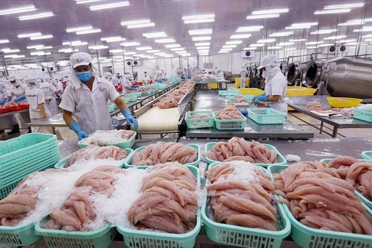 Doanh thu quý II giảm 74%, doanh nghiệp thủy sản vẫn báo lãi tăng hơn 200%, tiền chiếm 73% tài sản: Điều gì đã xảy ra?