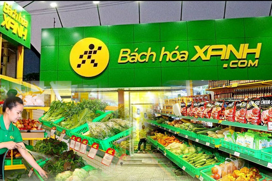 MWG thu hơn 95.000 tỷ trong nửa năm, Bách Hóa Xanh cứ mở cửa hàng là có lãi