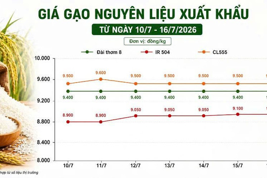 Thị trường hàng hóa ngày 16/7: Hồ tiêu phục hồi, cao su và heo hơi đồng loạt tăng