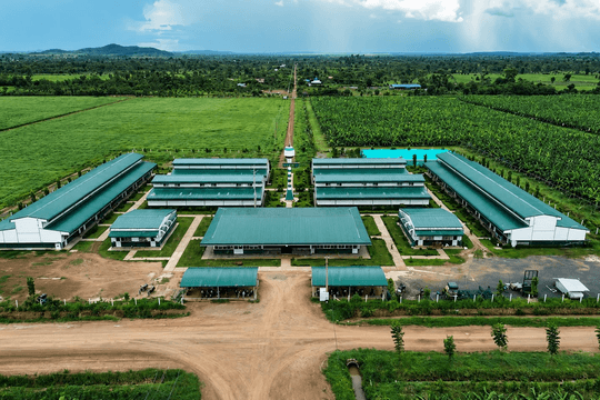 Công ty nông nghiệp của tỷ phú Trần Bá Dương báo lãi gấp 6 lần, nợ vượt 2,59 tỷ USD