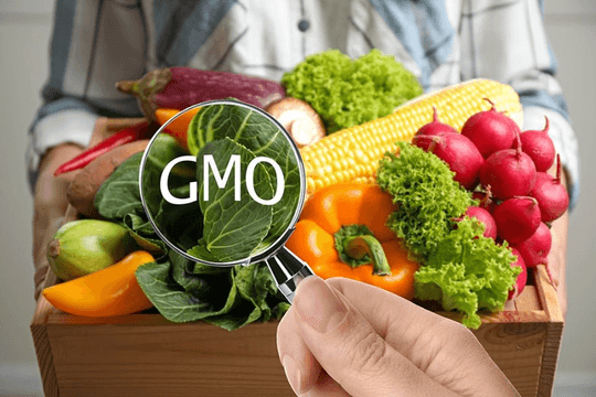 Thực phẩm biến đổi gene đã vào bếp nhà bạn từ lâu, nhưng nhiều người vẫn không biết