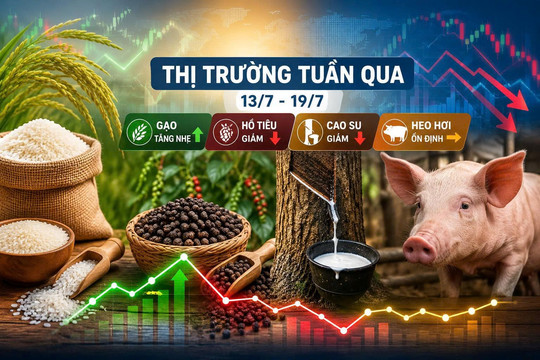 Thị trường tuần qua 13/7 – 19/7: Gạo tăng nhẹ, hồ tiêu và cao su đảo chiều giảm