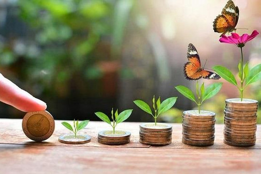 Chuyên gia chỉ ra nhóm DN vừa trả cổ tức tiền mặt đều, vừa đảm bảo tiềm năng tăng trưởng dài hạn