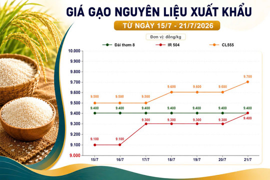 Thị trường hàng hoá 21/7: Gạo nguyên liệu nhích giá, cao su quốc tế duy trì sắc xanh