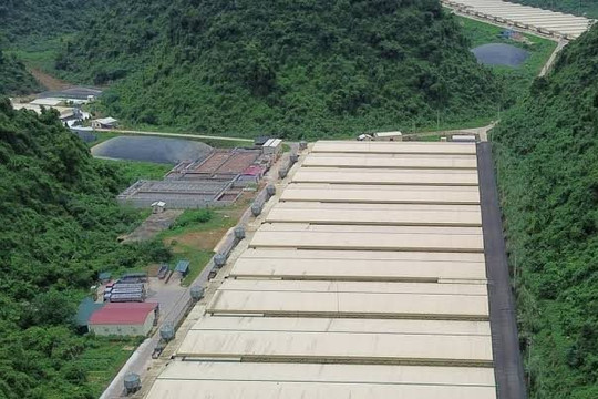 Dabaco lên tiếng về tai nạn lao động tại Thanh Hóa