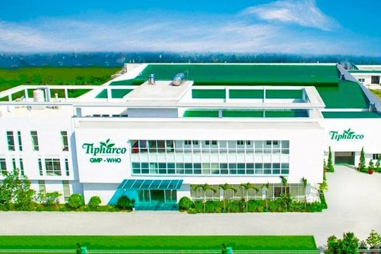 Công ty bán thuốc kháng sinh báo lãi gấp 24 lần trong quý 2/2026