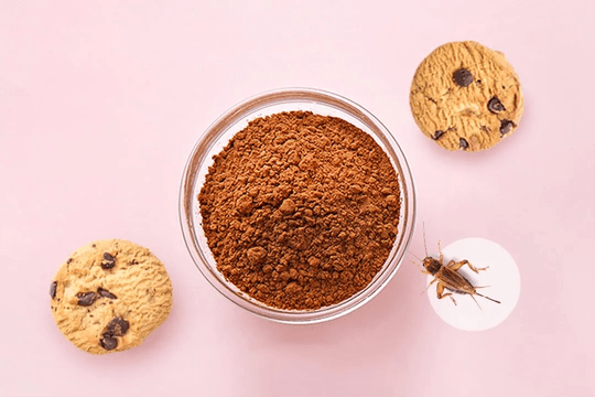Bong bóng protein côn trùng xì hơi: Hàng trăm triệu USD đầu tư bốc hơi, vì sao "tương lai của thực phẩm" lại gục ngã?