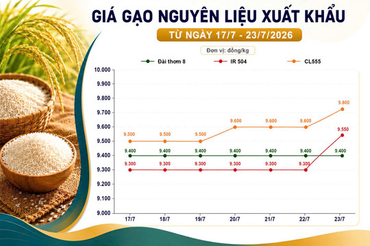 Thị trường hàng hoá 23/7:  Gạo tăng giá, cao su và heo hơi giảm
