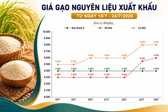 Thị trường hàng hóa 24/7: Gạo neo giá cao, heo hơi giảm nhẹ