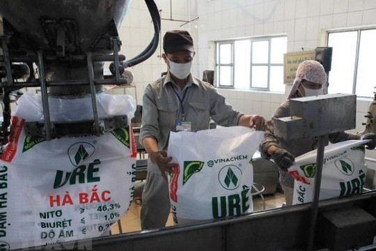 "Quả đấm thép" một thời ngành phân bón báo lãi gấp 15 lần cùng kỳ, vẫn lỗ lũy kế 1.240 tỷ đồng