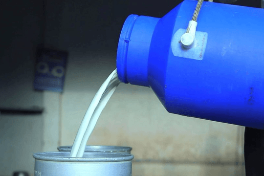 Đột kích một nhà máy, triệt phá đường dây sản xuất hơn 2 triệu lít sữa tươi giả, dùng 230.000 kg sữa bột kém chất lượng cùng tạp chất để pha