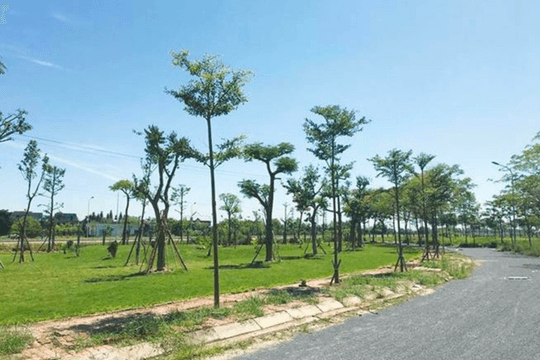 Hà Nội đưa ra thời hạn cuối cho 300 dự án treo