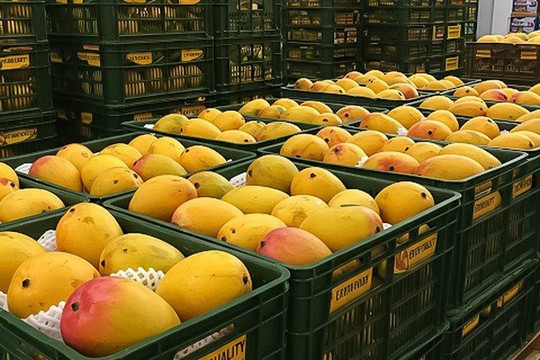Một ngành hàng của Việt Nam lập kỷ lục tỷ USD chưa từng có, Trung Quốc, Mỹ, Hàn Quốc có đóng góp lớn