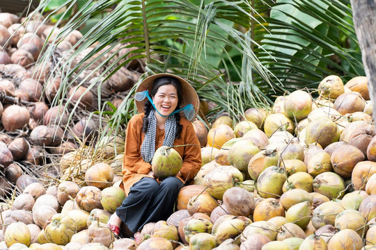 Bán dừa, nha đam, trái cây khắp thế giới, DN Việt thu hơn 8.200 tỷ đồng, lợi nhuận tăng 72% sau 6T2026