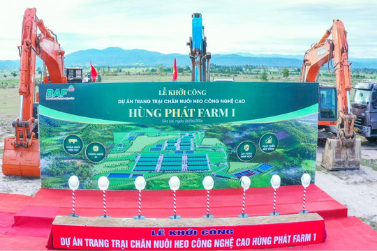 BAF 6 tháng đầu năm 2026: Tăng 61% sản lượng heo so với cùng kỳ năm trước, đẩy mạnh đầu tư cho chu kỳ tăng trưởng mới