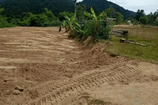 Công nghệ trong nghiên cứu khỏa cổ 