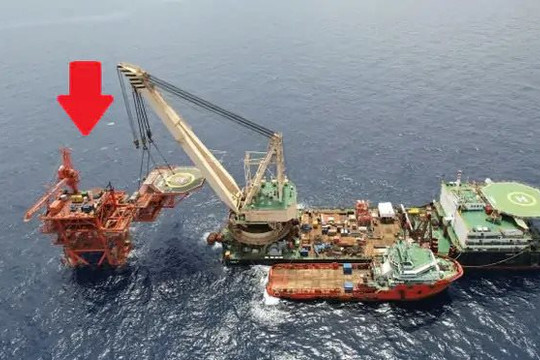 Việt Nam có "kho báu" từng được Úc, Malaysia định giá chỉ 1 USD, sau hơn 30 năm mang về trên 4,5 tỷ USD