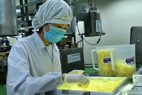 Loạt dược sĩ tại một công ty trên sàn chứng khoán bị “tuýt còi”