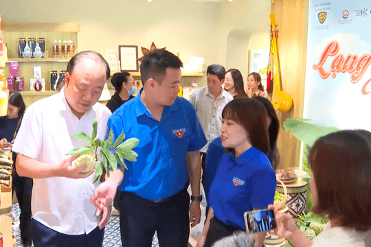 Tiêu thụ hơn 1,2 tấn na Chi Lăng sau 3 ngày: Sức hút từ không gian kết nối nông sản trực tiếp và livestream