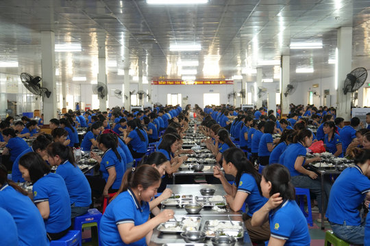 Công ty may có quỹ phúc lợi 174 tỷ đồng cho gần 1.700 nhân viên: Nhận trẻ từ 12 tháng tuổi, miễn học phí, hỗ trợ nửa tiền ăn
